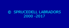   SPRUCEDELL LABRADORS
2000 -2018