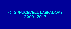 �  SPRUCEDELL LABRADORS
2000 -2018